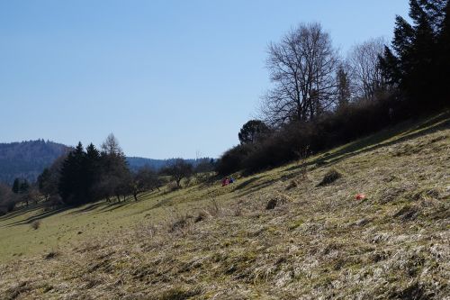 slope meadow children