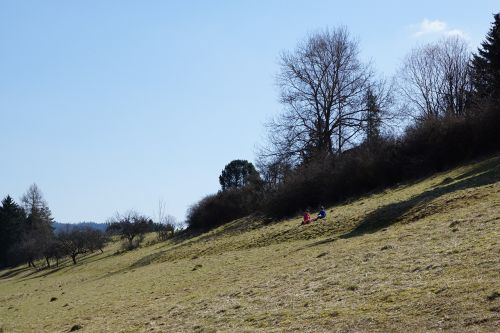 slope meadow nature