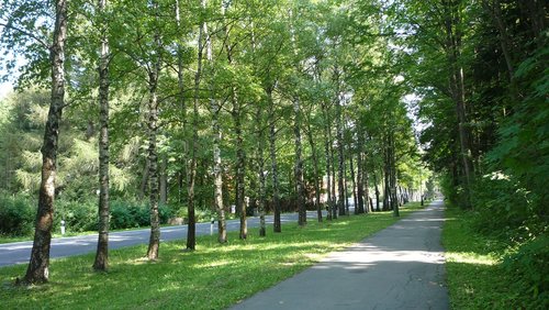 slovakia  park  landscape