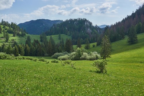 slovakia  vernar  spring