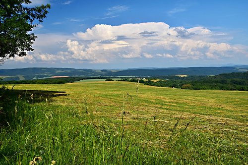slovakia  country  meadow