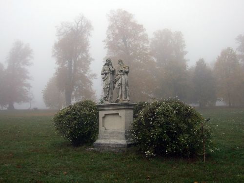 slovakia fog trees