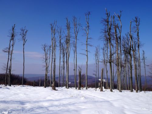 slovakia winter little carpathians