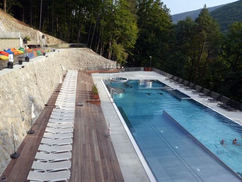 slovakia green frog swimming pool