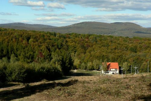 slovakia little carpathians forest