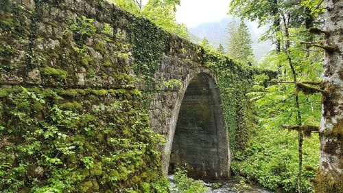 slovenia nature bridge