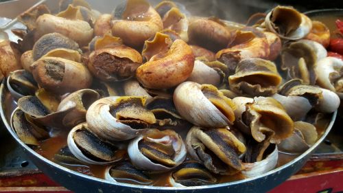 slug snail baked street food