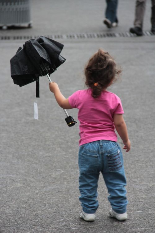 small child umbrella autumn