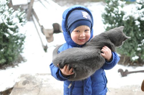 small child kitten winter