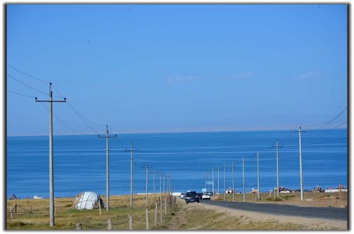 small fresh qinghai lake blue