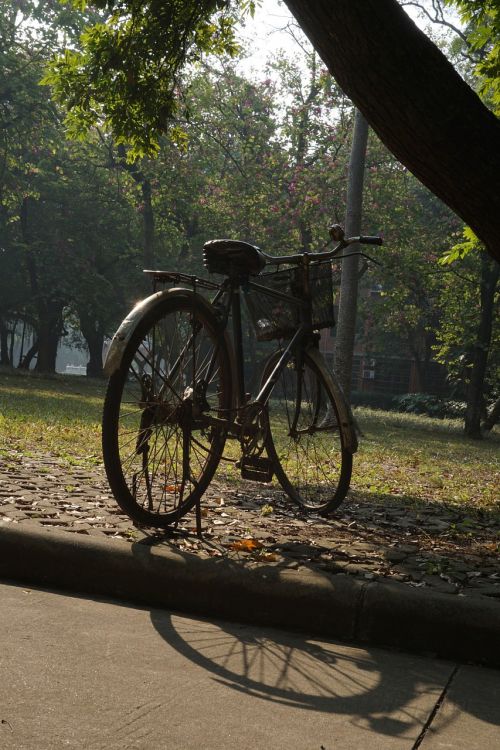 small fresh campus bicycle