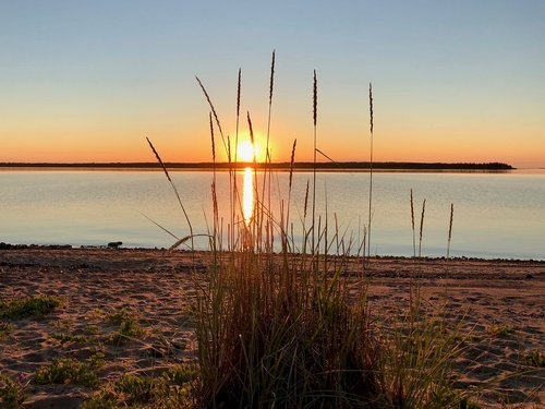 smålsön  sunset  grass