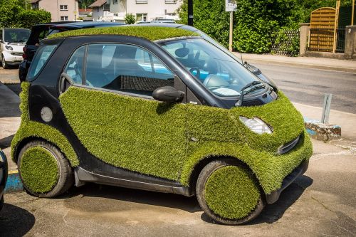 smart grass auto