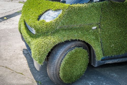 smart grass auto