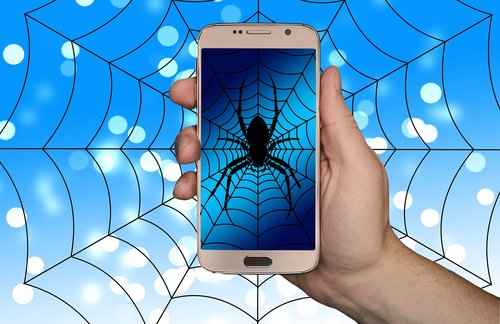 smartphone  hand  web