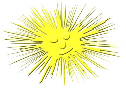 smilie sun emoticon