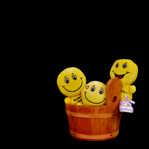 smilies funny wooden tub