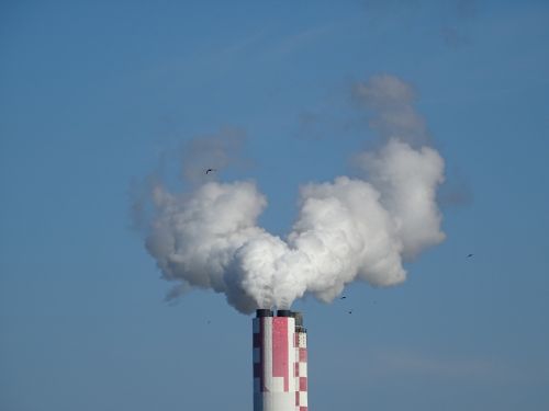 smoke steam environment