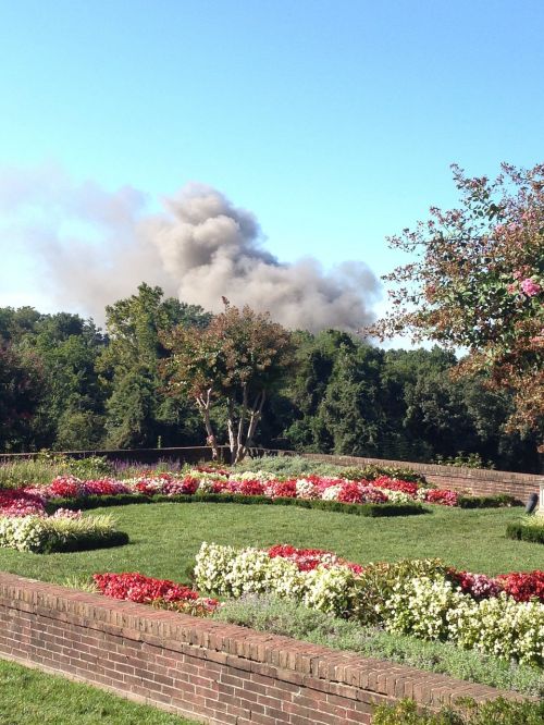 smoke landscape garden