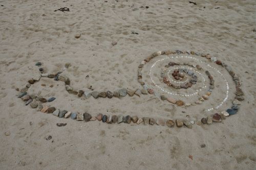 snail beach stones