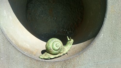 snail at the beginning end