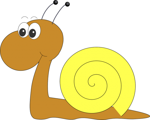 snail happy funny