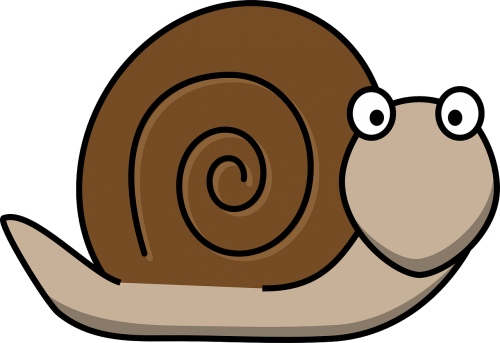 snail animal fun