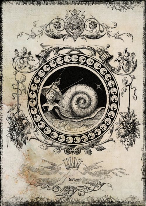 snail vintage collage