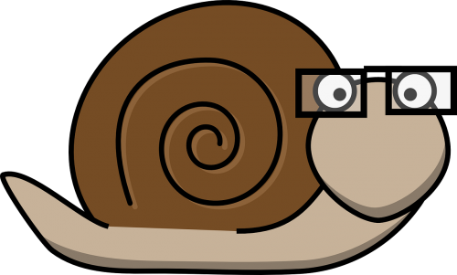 snail glasses bald