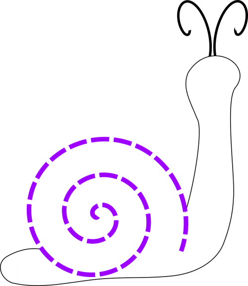 snail slug shell
