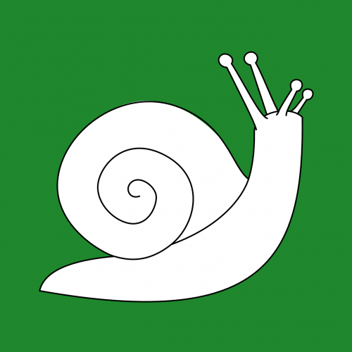 snail gastropod univalve