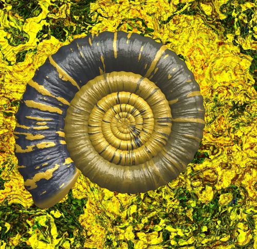 Snail Design Grunge Background