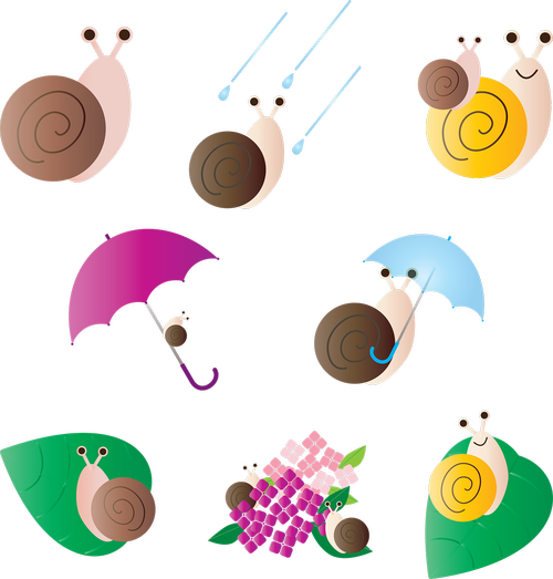 snails  rainy season  kawaii