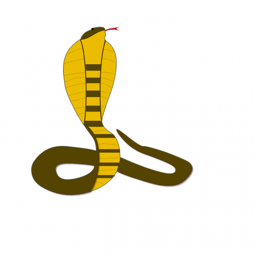 snake snakes cobra