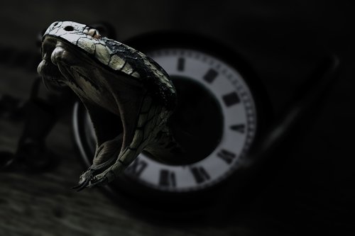 snake  clock  black