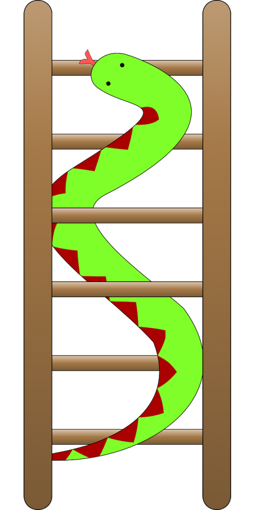 snake ladder green