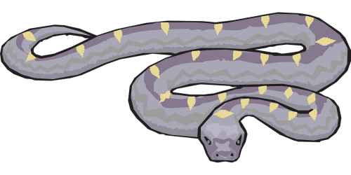 snake yellow purple