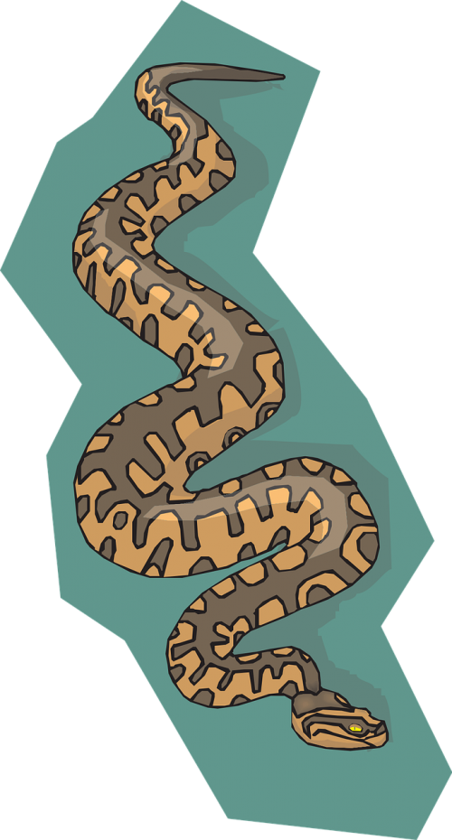 snake brown background
