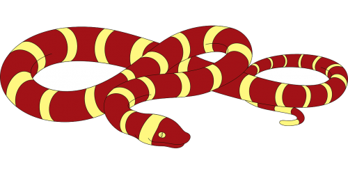 snake red yellow