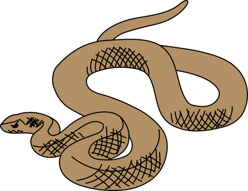 snake brown reptile