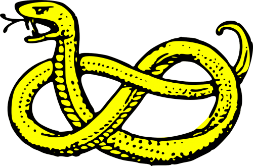 snake serpent yellow