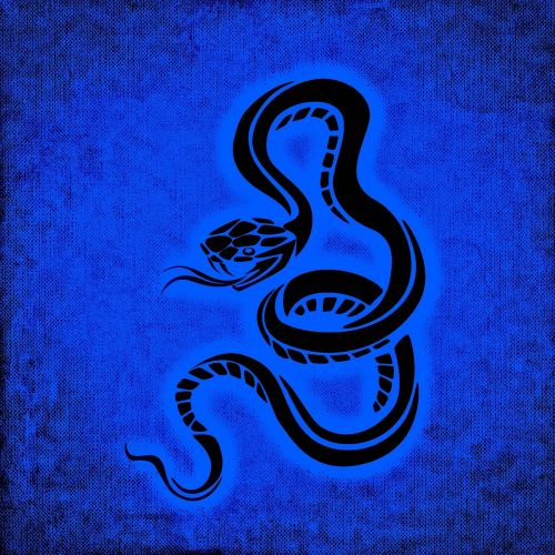 snake dangerous background