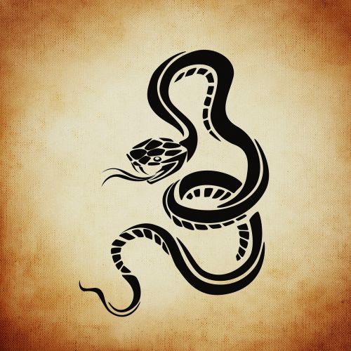 snake dangerous background