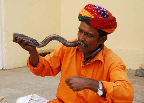 snake charmer jaipur amer fort jaipur tour travels