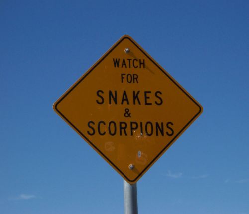 Snakes And Scorpions