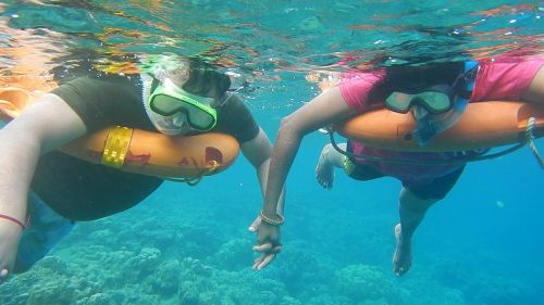 snorkeling arabian sea diving