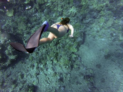 snorkeling snorkelling woman