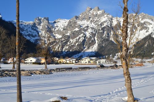 snow winter landscape