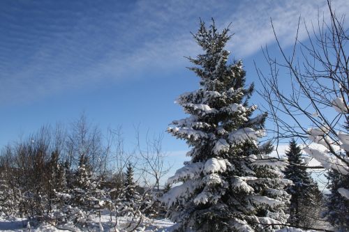 snow mountains winter