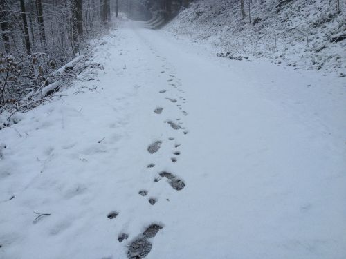 snow traces human